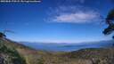 ./images/calvert/fitz-hugh-hecate/20250801/fitz-hugh-hecate20250801_170508M.jpg