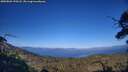 ./images/calvert/fitz-hugh-hecate/20250801/fitz-hugh-hecate20250801_190507M.jpg