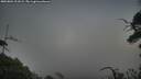 ./images/calvert/fitz-hugh-hecate/20250801/fitz-hugh-hecate20250801_211009M.jpg