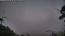 ./images/calvert/fitz-hugh-hecate/20250801/fitz-hugh-hecate20250801_213509M.jpg