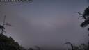 ./images/calvert/fitz-hugh-hecate/20250801/fitz-hugh-hecate20250801_214009M.jpg