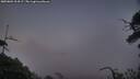 ./images/calvert/fitz-hugh-hecate/20250801/fitz-hugh-hecate20250801_214507M.jpg