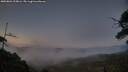 ./images/calvert/fitz-hugh-hecate/20250801/fitz-hugh-hecate20250801_215006M.jpg