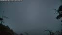 ./images/calvert/fitz-hugh-hecate/20250802/fitz-hugh-hecate20250802_053008M.jpg