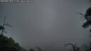 ./images/calvert/fitz-hugh-hecate/20250802/fitz-hugh-hecate20250802_053508M.jpg