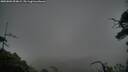 ./images/calvert/fitz-hugh-hecate/20250802/fitz-hugh-hecate20250802_054009M.jpg