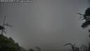 ./images/calvert/fitz-hugh-hecate/20250802/fitz-hugh-hecate20250802_055006M.jpg