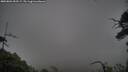 ./images/calvert/fitz-hugh-hecate/20250802/fitz-hugh-hecate20250802_055509M.jpg