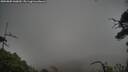 ./images/calvert/fitz-hugh-hecate/20250802/fitz-hugh-hecate20250802_060010M.jpg