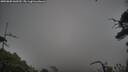 ./images/calvert/fitz-hugh-hecate/20250802/fitz-hugh-hecate20250802_060509M.jpg