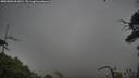 ./images/calvert/fitz-hugh-hecate/20250802/fitz-hugh-hecate20250802_061010M.jpg