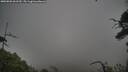./images/calvert/fitz-hugh-hecate/20250802/fitz-hugh-hecate20250802_061510M.jpg