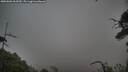 ./images/calvert/fitz-hugh-hecate/20250802/fitz-hugh-hecate20250802_062010M.jpg