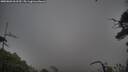 ./images/calvert/fitz-hugh-hecate/20250802/fitz-hugh-hecate20250802_062509M.jpg