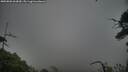 ./images/calvert/fitz-hugh-hecate/20250802/fitz-hugh-hecate20250802_063010M.jpg