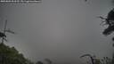 ./images/calvert/fitz-hugh-hecate/20250802/fitz-hugh-hecate20250802_063510M.jpg