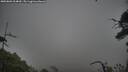 ./images/calvert/fitz-hugh-hecate/20250802/fitz-hugh-hecate20250802_064010M.jpg