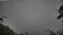 ./images/calvert/fitz-hugh-hecate/20250802/fitz-hugh-hecate20250802_064507M.jpg