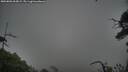 ./images/calvert/fitz-hugh-hecate/20250802/fitz-hugh-hecate20250802_065009M.jpg