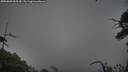 ./images/calvert/fitz-hugh-hecate/20250802/fitz-hugh-hecate20250802_065510M.jpg