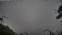 ./images/calvert/fitz-hugh-hecate/20250802/fitz-hugh-hecate20250802_070010M.jpg