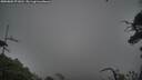 ./images/calvert/fitz-hugh-hecate/20250802/fitz-hugh-hecate20250802_071010M.jpg