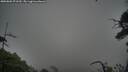./images/calvert/fitz-hugh-hecate/20250802/fitz-hugh-hecate20250802_071510M.jpg