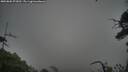 ./images/calvert/fitz-hugh-hecate/20250802/fitz-hugh-hecate20250802_072011M.jpg