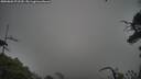 ./images/calvert/fitz-hugh-hecate/20250802/fitz-hugh-hecate20250802_072510M.jpg
