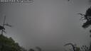 ./images/calvert/fitz-hugh-hecate/20250802/fitz-hugh-hecate20250802_073010M.jpg