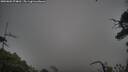 ./images/calvert/fitz-hugh-hecate/20250802/fitz-hugh-hecate20250802_074010M.jpg