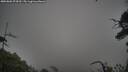 ./images/calvert/fitz-hugh-hecate/20250802/fitz-hugh-hecate20250802_074510M.jpg