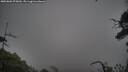 ./images/calvert/fitz-hugh-hecate/20250802/fitz-hugh-hecate20250802_075010M.jpg