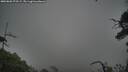 ./images/calvert/fitz-hugh-hecate/20250802/fitz-hugh-hecate20250802_075509M.jpg