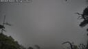 ./images/calvert/fitz-hugh-hecate/20250802/fitz-hugh-hecate20250802_080011M.jpg