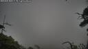./images/calvert/fitz-hugh-hecate/20250802/fitz-hugh-hecate20250802_080509M.jpg