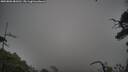 ./images/calvert/fitz-hugh-hecate/20250802/fitz-hugh-hecate20250802_081010M.jpg