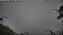 ./images/calvert/fitz-hugh-hecate/20250802/fitz-hugh-hecate20250802_081510M.jpg
