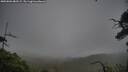 ./images/calvert/fitz-hugh-hecate/20250802/fitz-hugh-hecate20250802_082509M.jpg