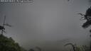 ./images/calvert/fitz-hugh-hecate/20250802/fitz-hugh-hecate20250802_083010M.jpg