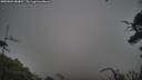 ./images/calvert/fitz-hugh-hecate/20250802/fitz-hugh-hecate20250802_084010M.jpg