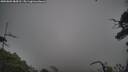 ./images/calvert/fitz-hugh-hecate/20250802/fitz-hugh-hecate20250802_084510M.jpg