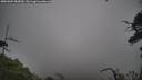 ./images/calvert/fitz-hugh-hecate/20250802/fitz-hugh-hecate20250802_085010M.jpg