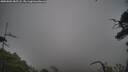 ./images/calvert/fitz-hugh-hecate/20250802/fitz-hugh-hecate20250802_085508M.jpg