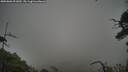 ./images/calvert/fitz-hugh-hecate/20250802/fitz-hugh-hecate20250802_091009M.jpg