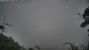 ./images/calvert/fitz-hugh-hecate/20250802/fitz-hugh-hecate20250802_091510M.jpg