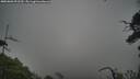 ./images/calvert/fitz-hugh-hecate/20250802/fitz-hugh-hecate20250802_092509M.jpg