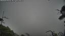 ./images/calvert/fitz-hugh-hecate/20250802/fitz-hugh-hecate20250802_093510M.jpg