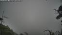 ./images/calvert/fitz-hugh-hecate/20250802/fitz-hugh-hecate20250802_094010M.jpg