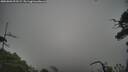 ./images/calvert/fitz-hugh-hecate/20250802/fitz-hugh-hecate20250802_095509M.jpg